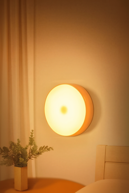 Motion Sensor Light