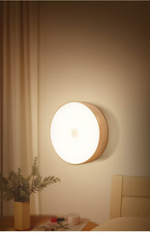Motion Sensor Light